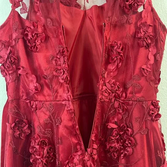 Rare Editions Big Girls Floral Soutache High-Low Social Dress, Size 14